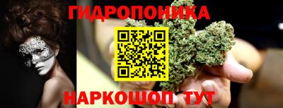 прущие грибы Заволжье