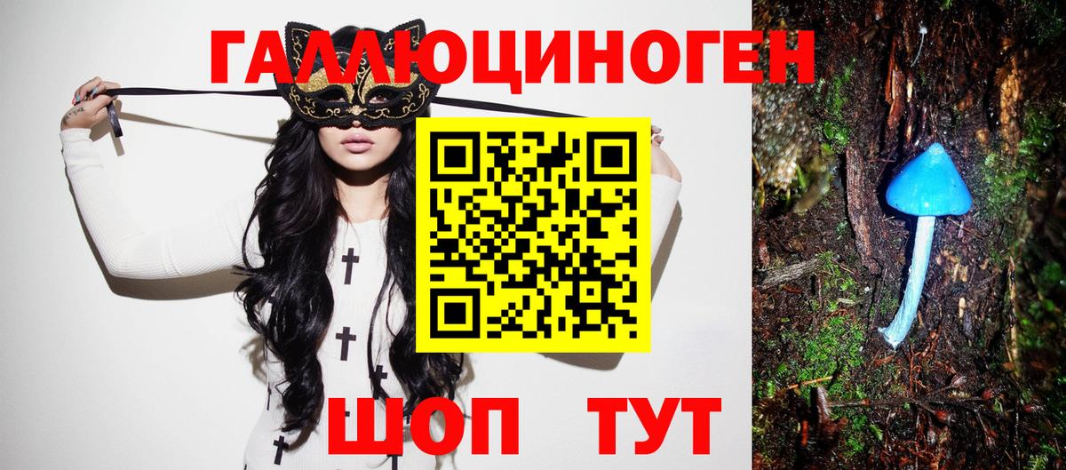 Десногорск  Псилоцибиновые грибы ЛСД  Вход с VPN  Псилоцибиновые грибы Psilocybe 